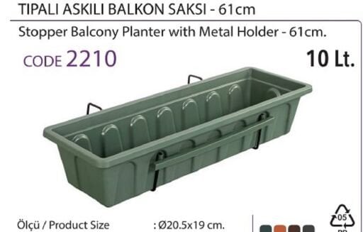 Bahçe & Saksı